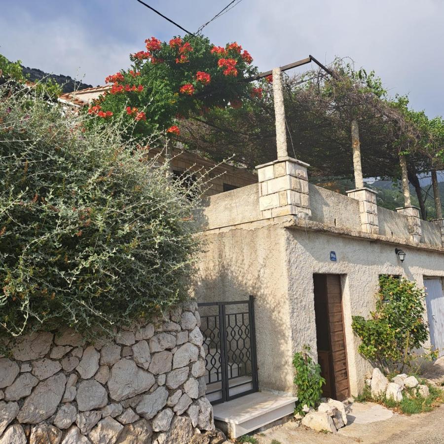 Guest House Tanja Babino Polje 외부 사진
